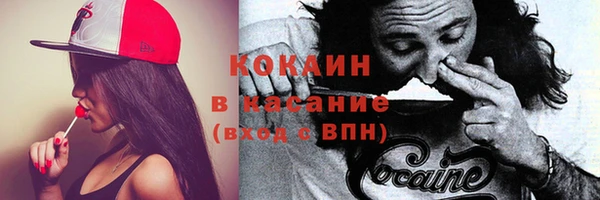 ГАЛЛЮЦИНОГЕННЫЕ ГРИБЫ Данков