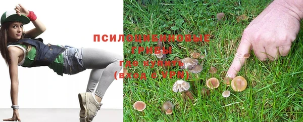 тгк Заволжск
