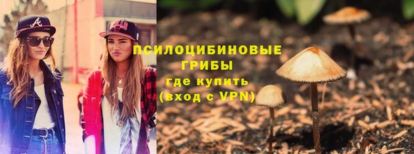 тгк Заволжск