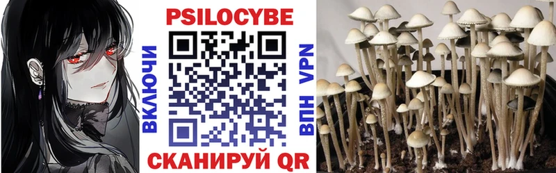 Галлюциногенные грибы мицелий  MEGA сайт  Калач  купить  